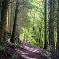 Wat is een natura sommenverzekering?