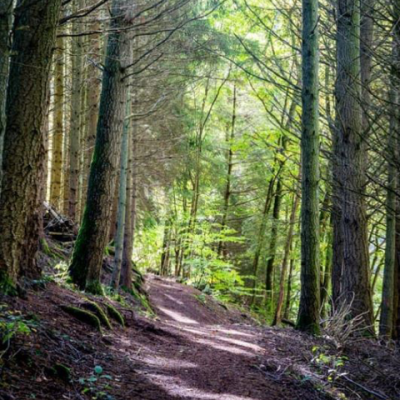 Wat is een natura sommenverzekering?